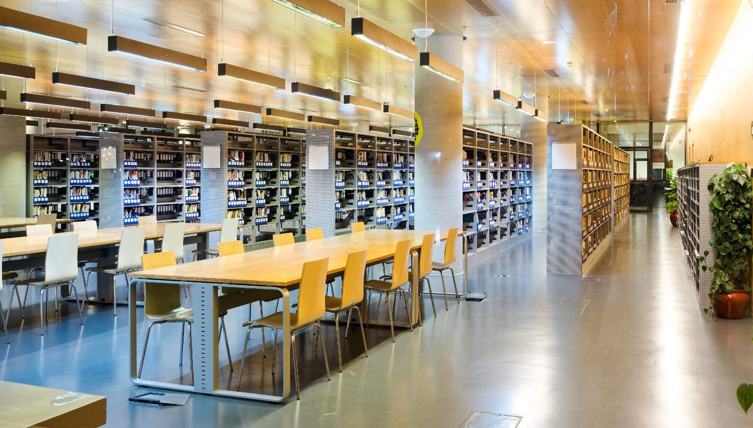 Empty library in local government